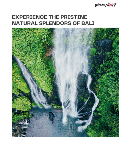 Dr. Stacii Jae Johnson's Ultimate VIP Bali Experience