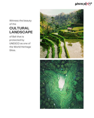 Dr. Stacii Jae Johnson's Ultimate VIP Bali Experience